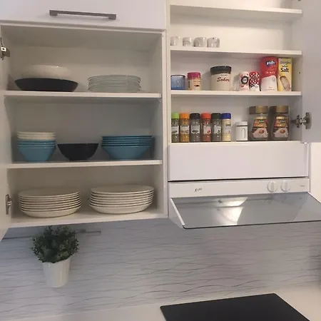 Appartement Snellmaninkatu 22 B, Ilmainen Kadunvarsipysaekoeinti Kuopio